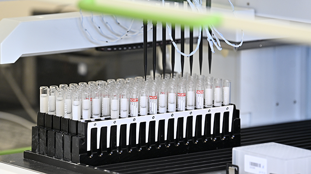 Lifebrain Test Pooling PCR