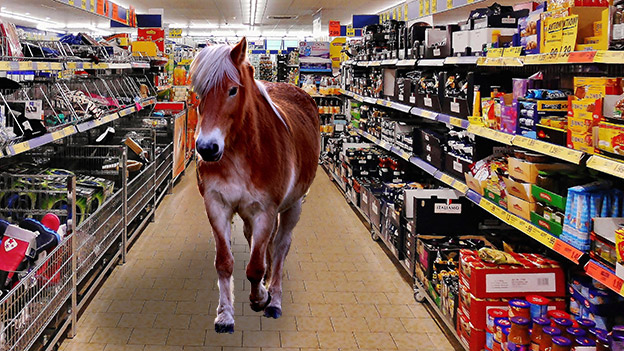 Pony im Supermarkt
