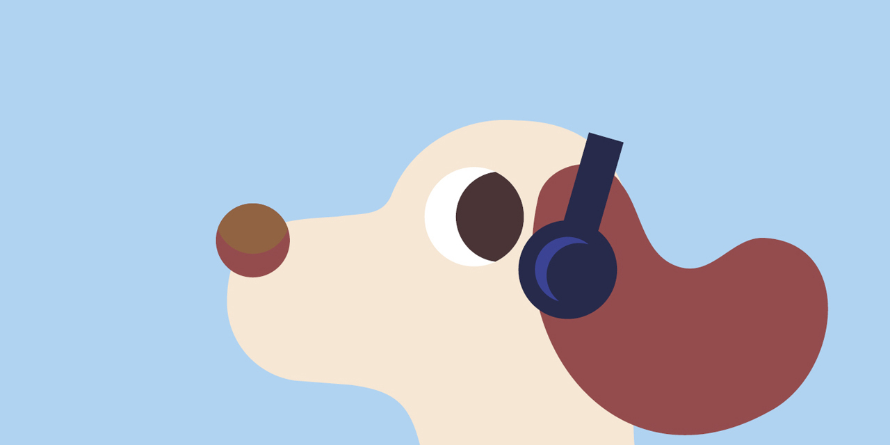 Ein Hund mit Kopfhörern und fliegenden Ohren