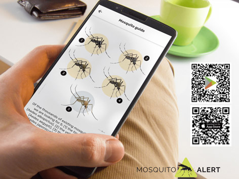 Tigermücken-App