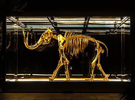 Mammut Skelett
