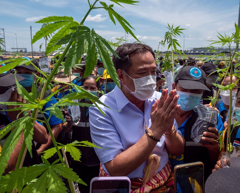 Thailand legalisiert Cannabis