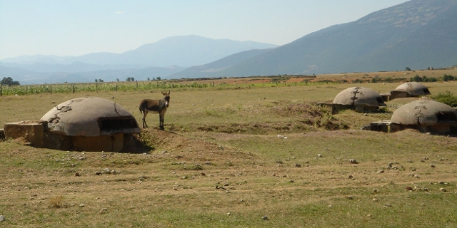 Esel vor aufgelassenen Bunkern in Albanien