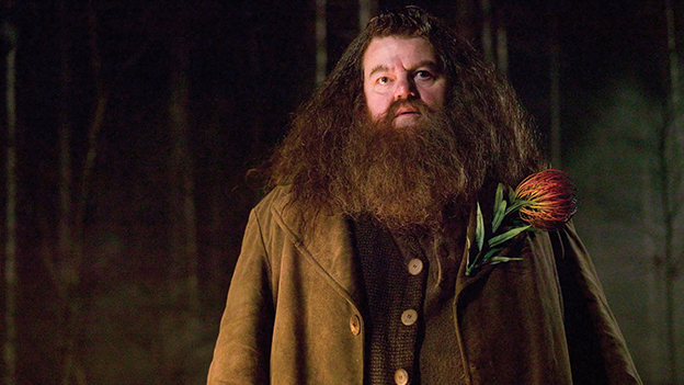 Robbie Coltrane als Hagrid