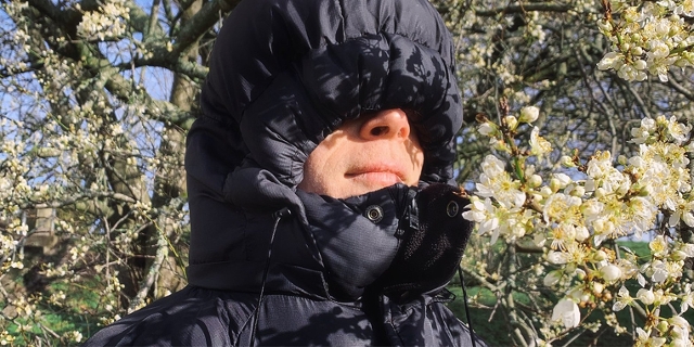 Eine Person mit einer dunkelblauen Winterjacke hat die Kapuze so weit zusammengezogen, dass fast nur noch die Nase herausschaut