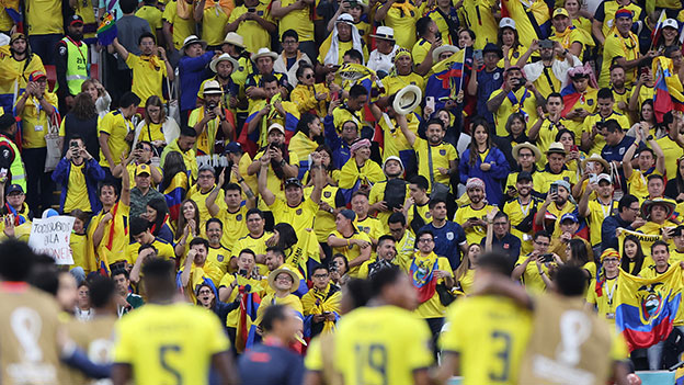 Ecuador Fans