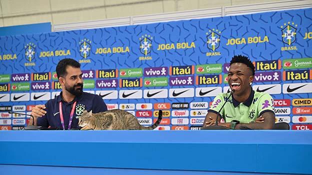 Katze bei Brasilien WM-Pressekonferenz