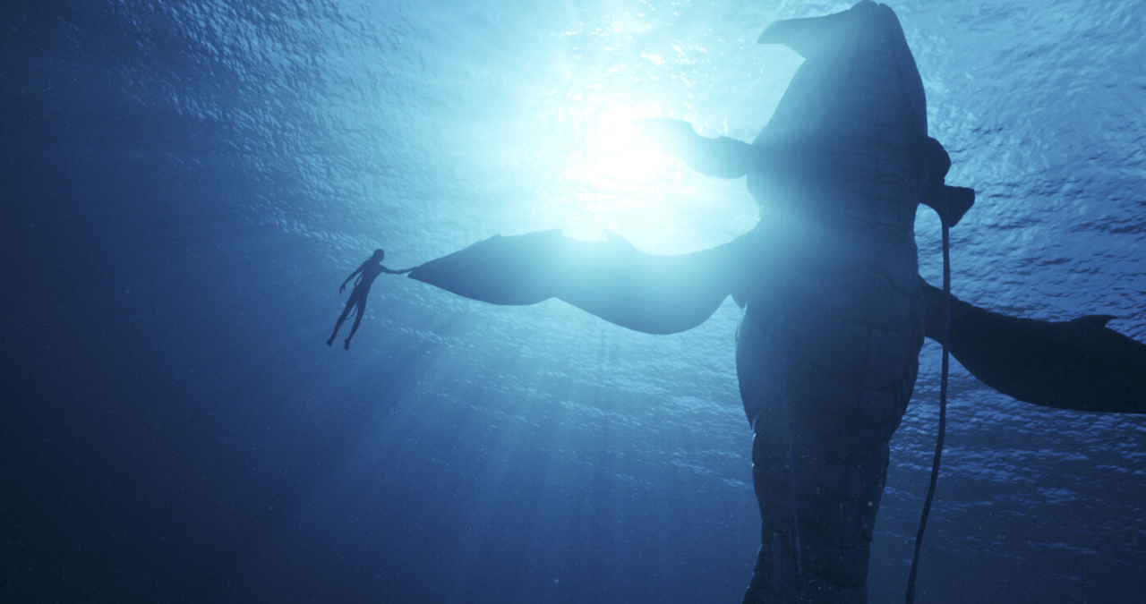 Unter Wasser: Eine Person und ein Fisch berühren sich