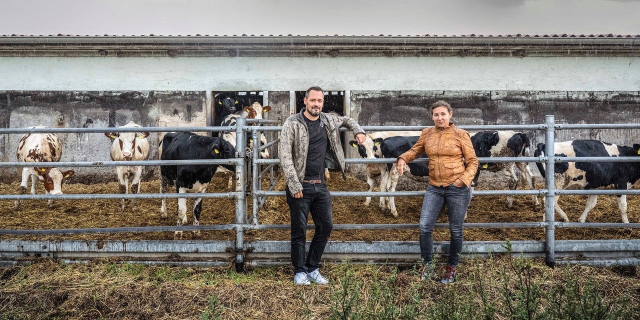 Juli Zeh und Simon Urban vor einem Stall, Kühe stehen im Freien hinter einem Zaun.