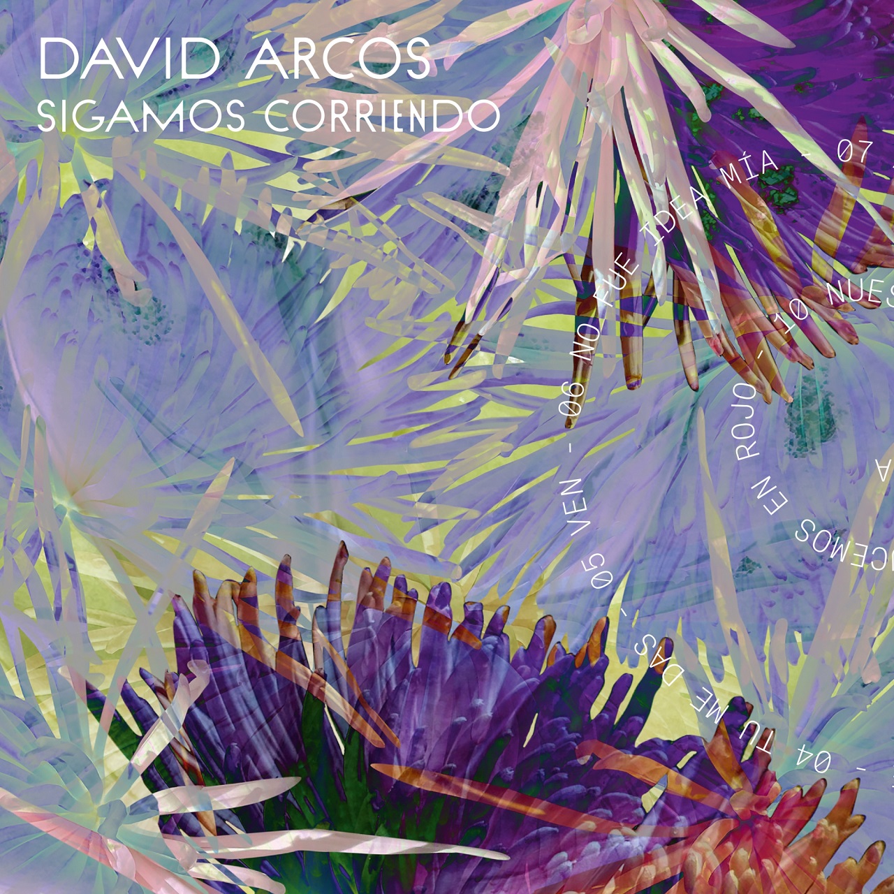 Albumcover von David Arcos Debüt "Sigamos corriendo"