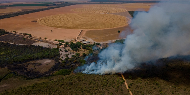 A fire in the Cerrado