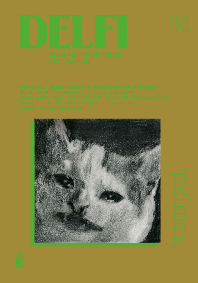 Buchcover "Delfi" mit verschwommener Katze