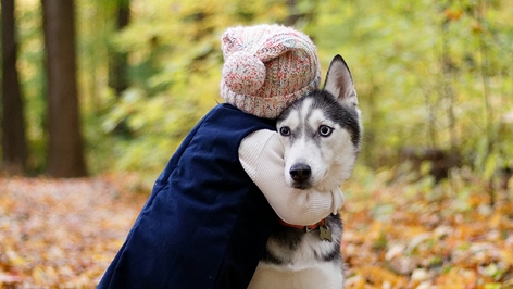 Kind mit Haube am Kopf umarmt Hund im Wald